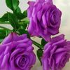 mohmmed_992