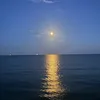 greenwave_2025