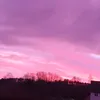 sophie.724