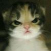 razzan_0