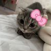 muniraa98_