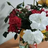 user600550763747114