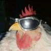 agent.cock