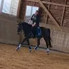 xxquattro_equestrianxx