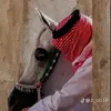 ali.alshlama