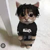 vvncalxx