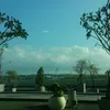 huyhuuhanh