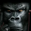 housihousi8