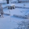 fikretoum