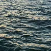 bmarsh_73