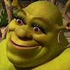 shereka.do.shrek