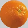 fluerkkives