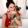 kittenkitten92
