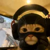 don._.pabl0