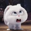 babioat