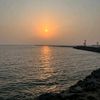 alhan_sdeig
