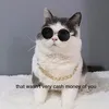 eastmedmoneylaundry