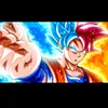 squalo5232