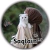 saqlainnawab41