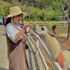 trang_150503