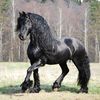 thewheels19