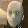 zir_bermudez1234