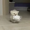 jpdpwgj