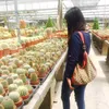_chetaerina2