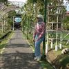 astuti09804