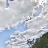njgatwmj