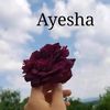ayeshazohaib41
