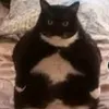 meepperi