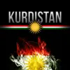 kurdish.278