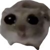 user7432340a