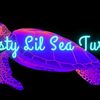 nasty_lilseaturtle