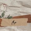 maryam_14215