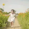 gaobabyshark