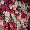 manal369_