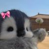 itspinguin
