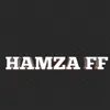 ameerhamza42602