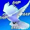 user151498136