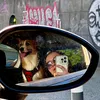 exploradoraaaaaaa