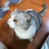 blueeye310159