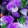 brafi12128