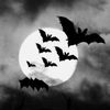 msk_vamp