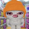 mllanieee