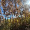 dylanlake4