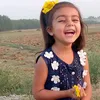 amjadali0429
