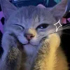 fluffiiieeeee