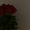 rd..050